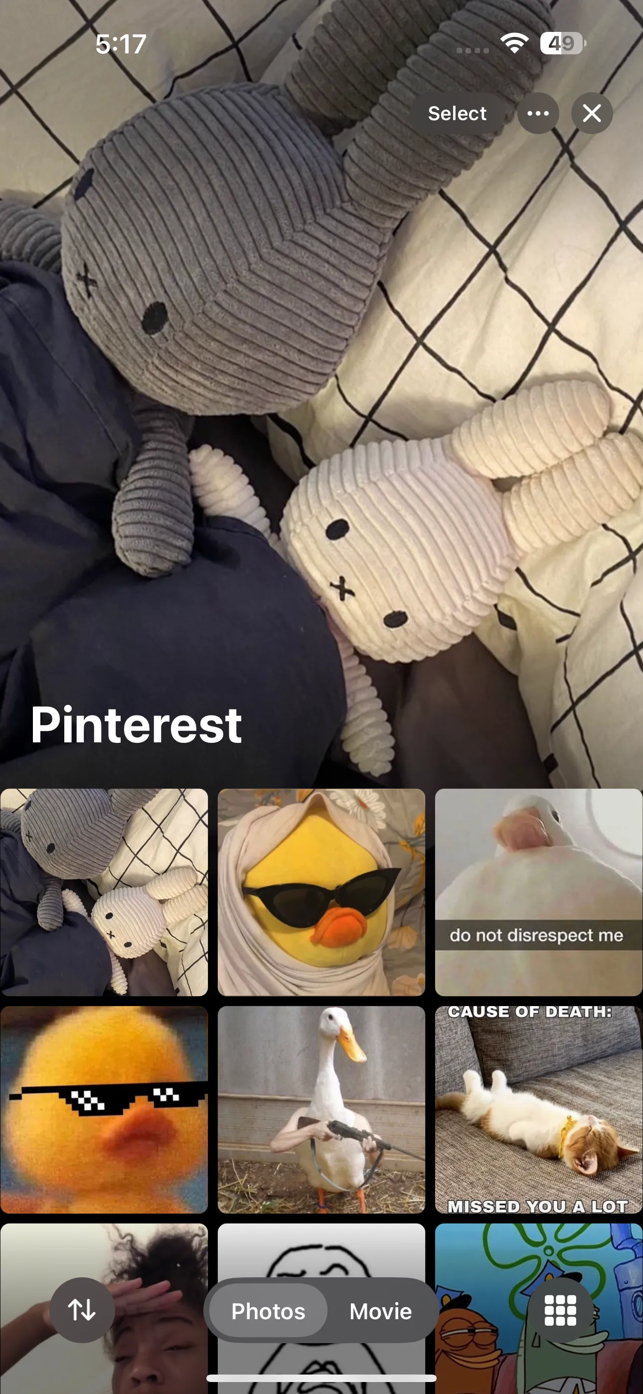 Album tên %22Pinterest%22 trong ứng dụng Ảnh iOS, sẵn sàng để áp dụng bộ lọc