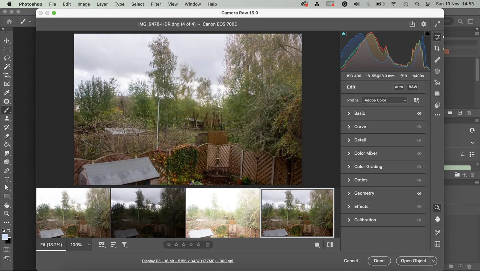 Ảnh chụp màn hình Photoshop với Camera RAW đang mở