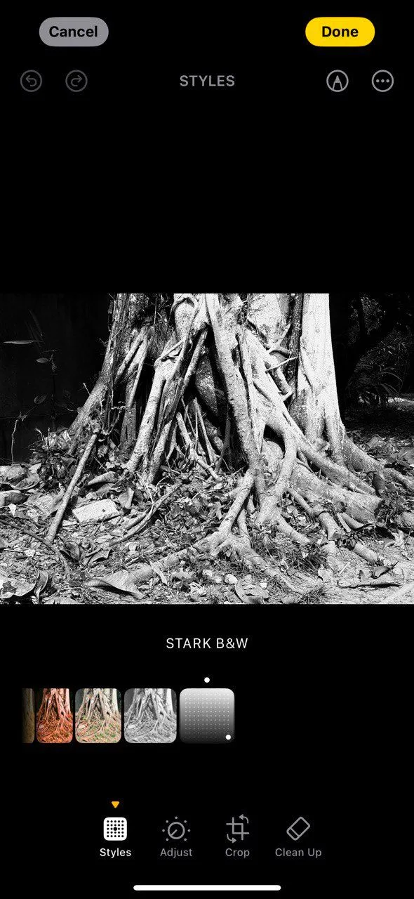 Ảnh kiến trúc với độ tương phản cao nhờ phong cách Stark B&amp;W trên iPhone 16
