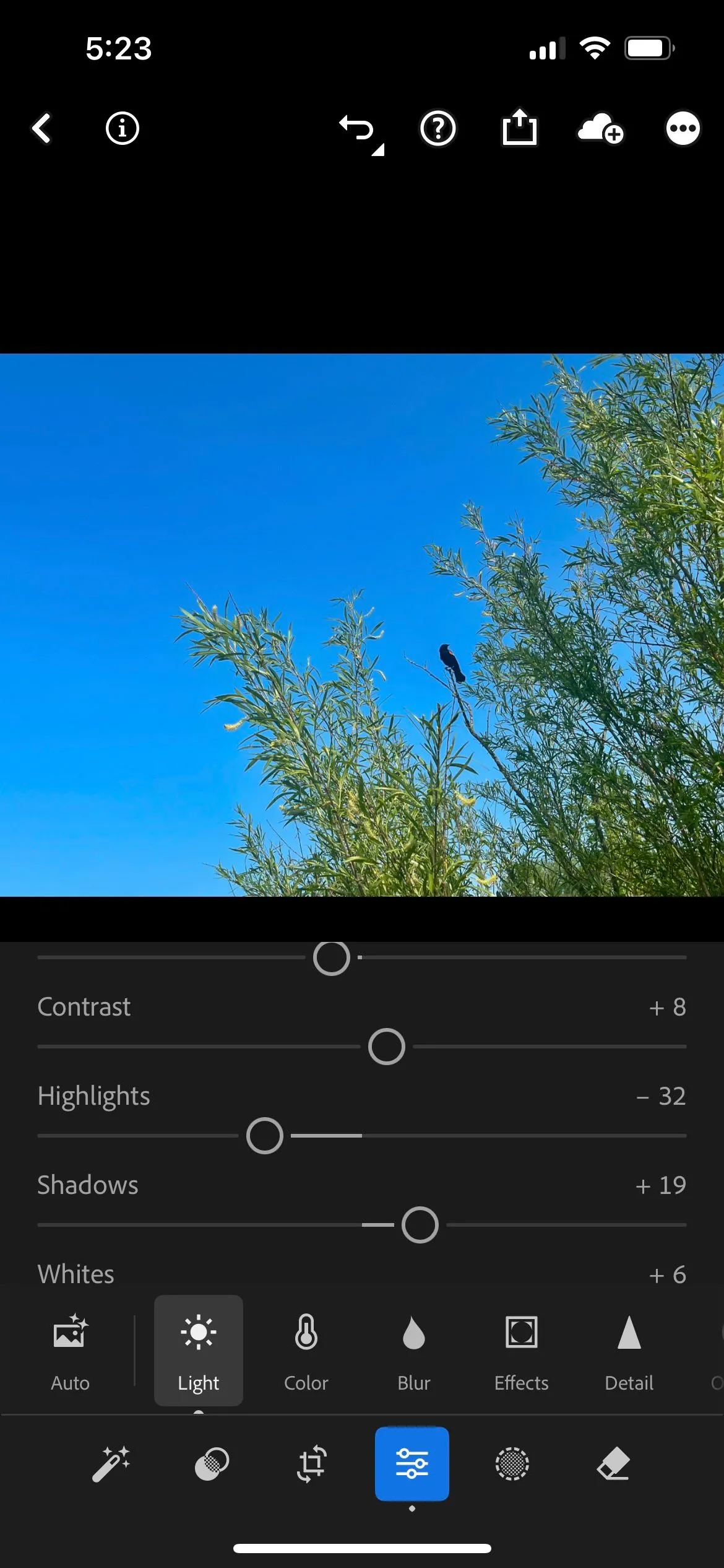 Bảng điều khiển chỉnh phơi sáng cơ bản trong ứng dụng Lightroom, minh họa quy trình hậu kỳ ảnh.