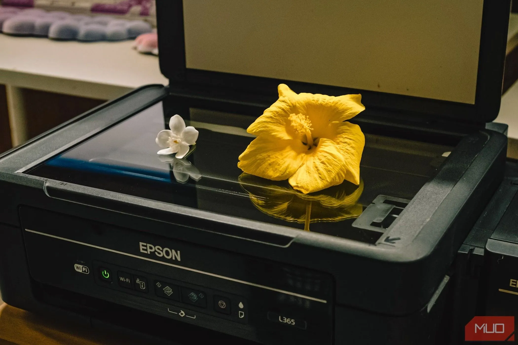 Bông hoa được đặt trên máy scan phẳng truyền thống, minh họa cho thiết bị quét tài liệu chuyên dụng một thời.