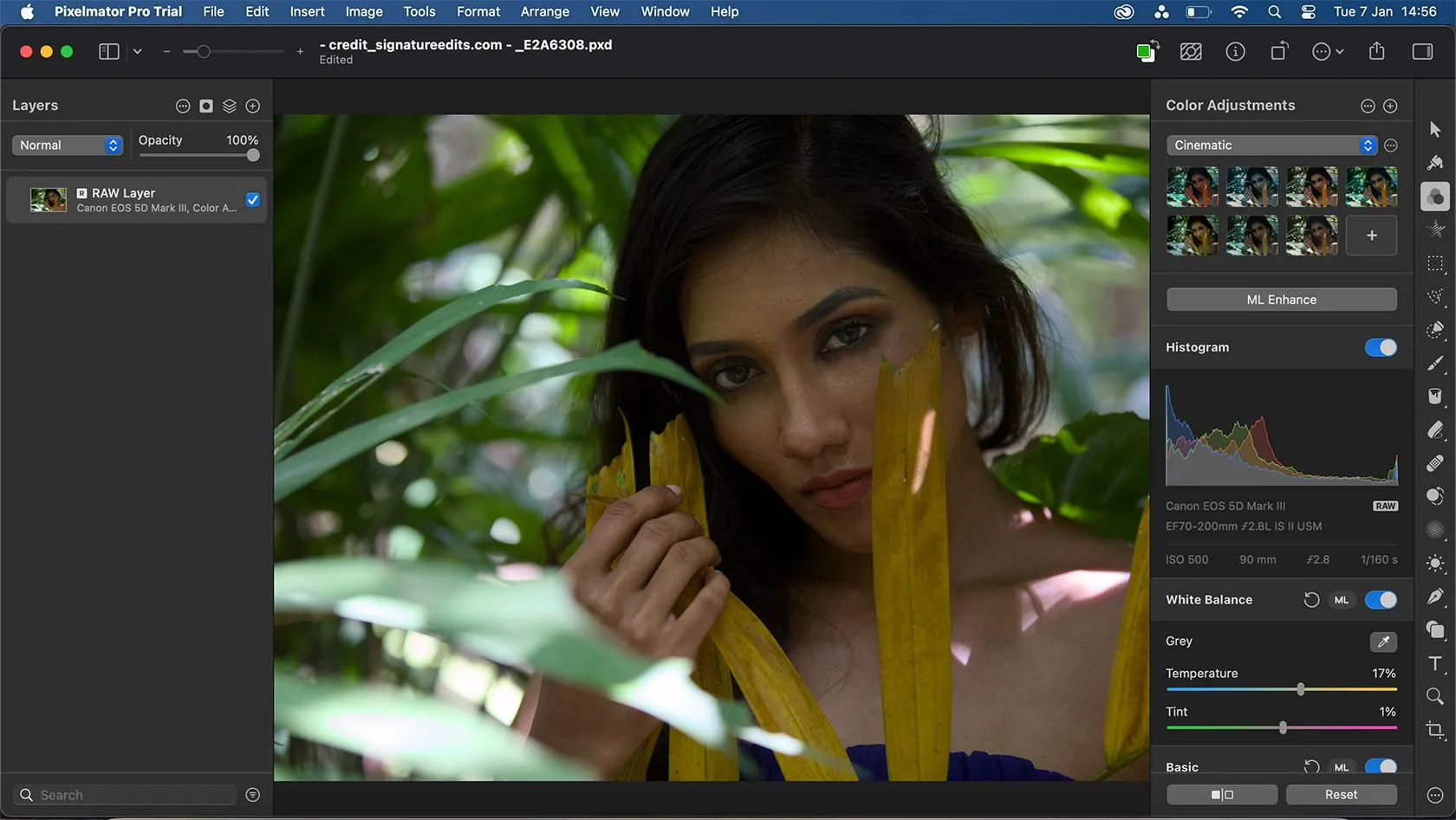 Chỉnh sửa ảnh RAW trong Pixelmator Pro