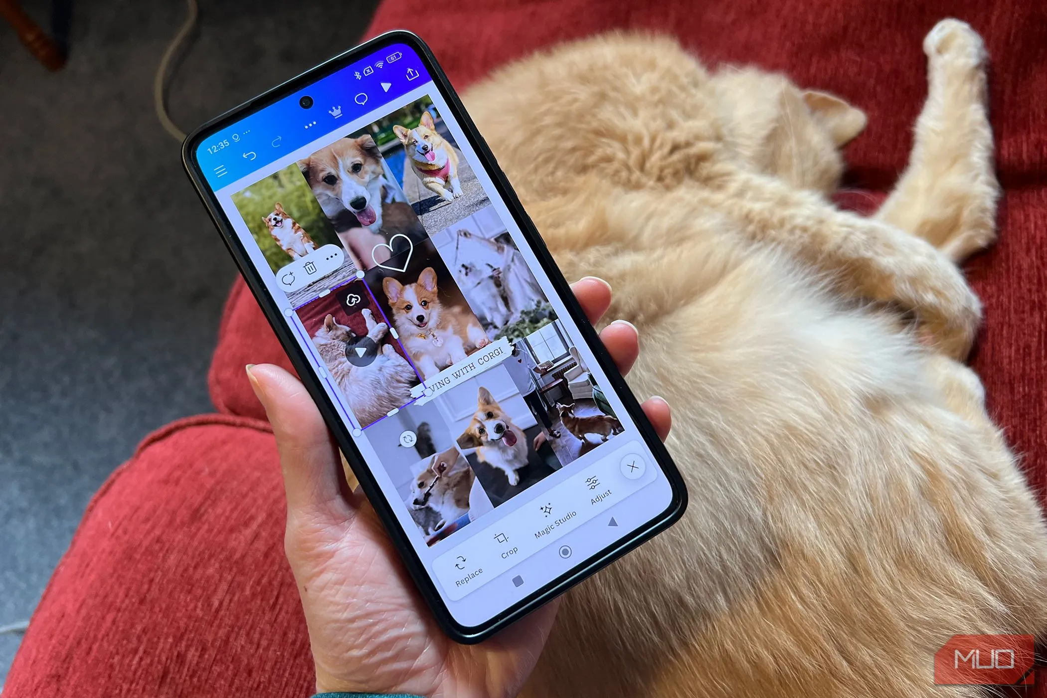 Chỉnh sửa video trên ứng dụng Canva cho Android
