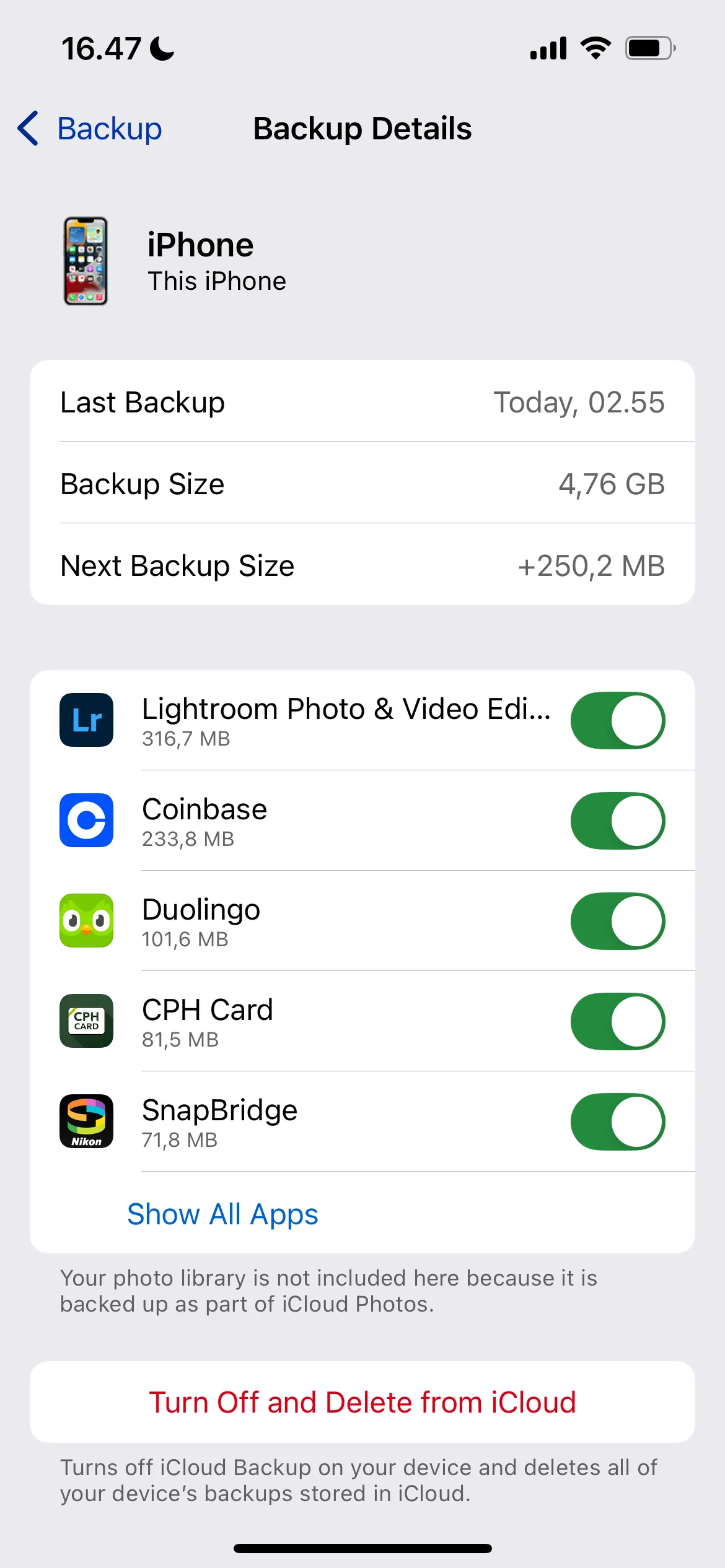 Chọn chi tiết sao lưu iCloud cho ứng dụng để quản lý