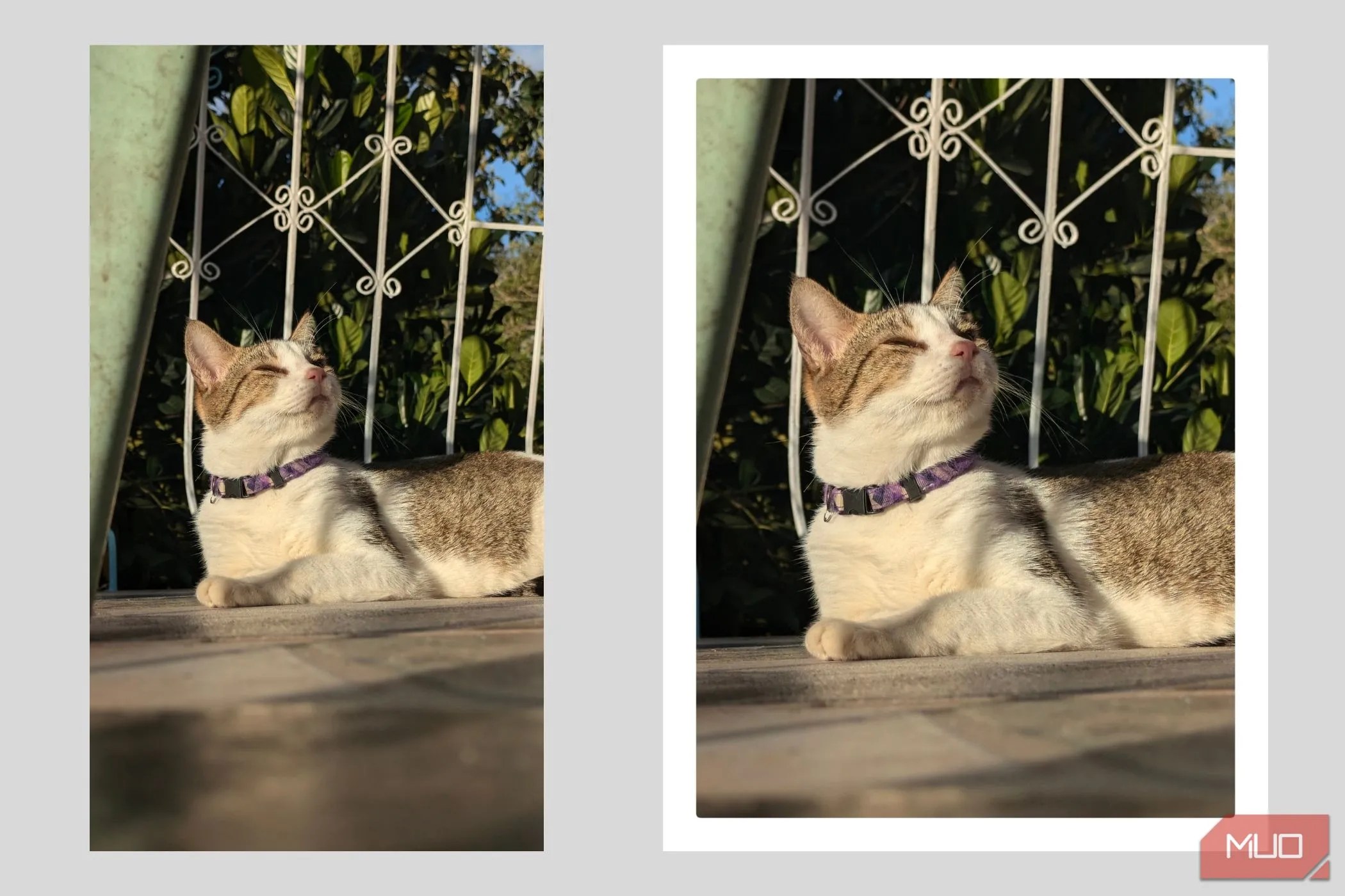 Chụp ảnh tỷ lệ 4:3 và thêm viền ảnh Polaroid