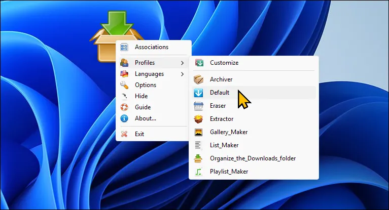 Cửa sổ tùy chỉnh ứng dụng DropIt trên màn hình desktop Windows 11, hiển thị các thiết lập quy tắc sắp xếp tập tin