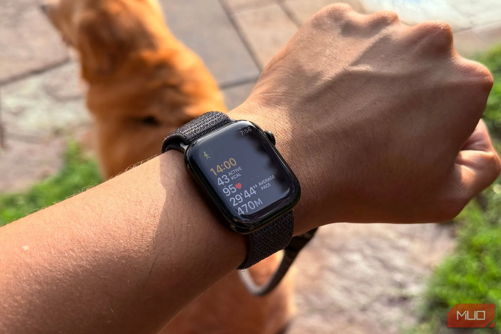 Đồng hồ thông minh Apple Watch hiển thị thống kê luyện tập trên cổ tay người dùng