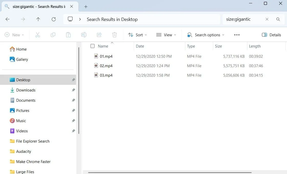 File Explorer hiển thị kết quả tìm kiếm các tệp tin lớn trên Windows với bộ lọc kích thước, sắp xếp chi tiết.