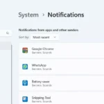 Giao diện cài đặt tắt thông báo Google Chrome trên Windows 11