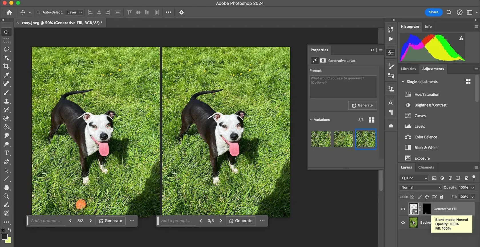 Giao diện công cụ Generative Fill AI trong Adobe Photoshop, tính năng khiến người dùng cân nhắc chi phí