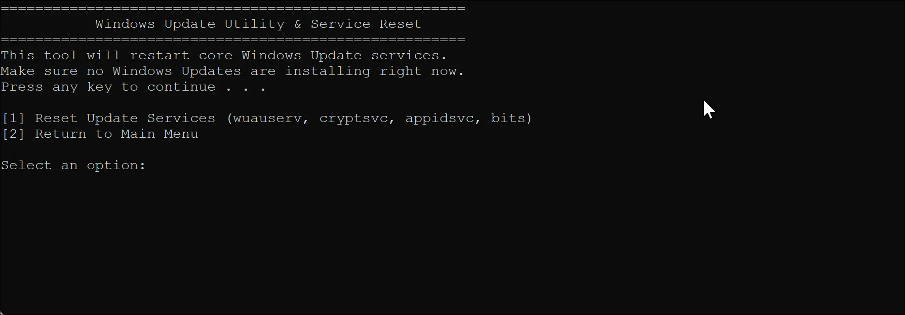 Giao diện dòng lệnh khi sử dụng tính năng đặt lại dịch vụ Windows Update trong công cụ bảo trì hệ thống.