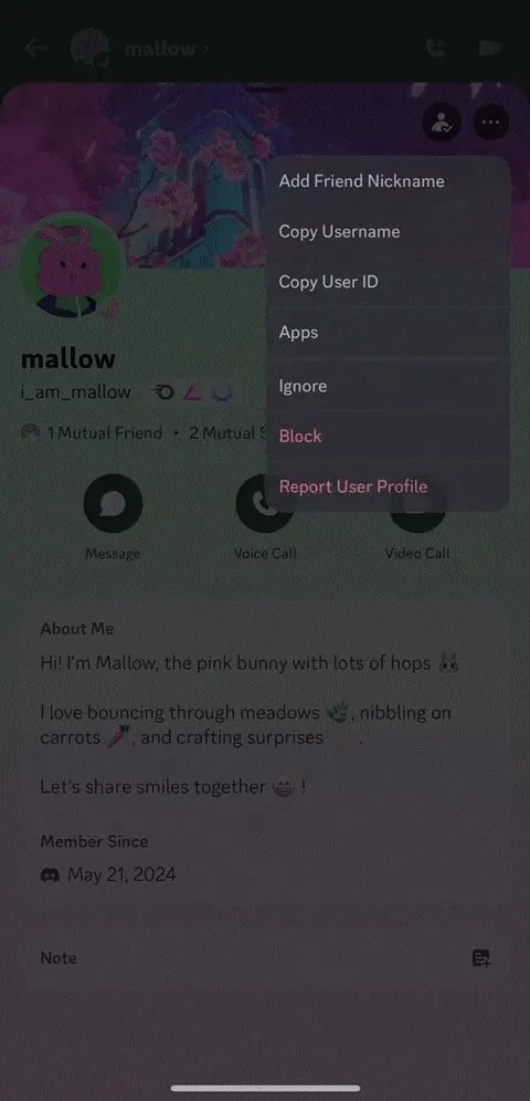Giao diện hồ sơ người dùng trên Discord, minh họa bước đầu để thực hiện tính năng Ignore.