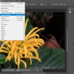 Giao diện Photoshop với Camera Raw Filter đã mở và phần cài đặt Lens Blur được đánh dấu.