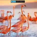 Giao diện tính năng ghi video màn hình trong Snipping Tool trên Windows 11, hiển thị tùy chọn âm thanh và mic.