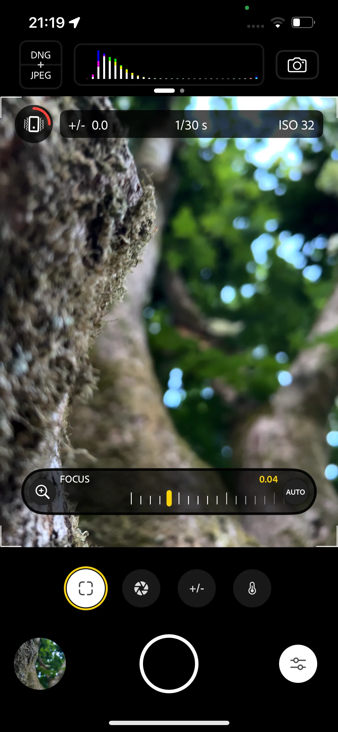 Giao diện ứng dụng Adobe Project Indigo hiển thị chế độ lấy nét thủ công trên một cái cây