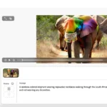 Giao diện ứng dụng web Adobe Firefly hiển thị tính năng tạo video bằng AI từ mô tả văn bản