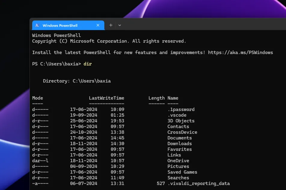 Giao diện ứng dụng Windows PowerShell đang hoạt động trên hệ điều hành Windows