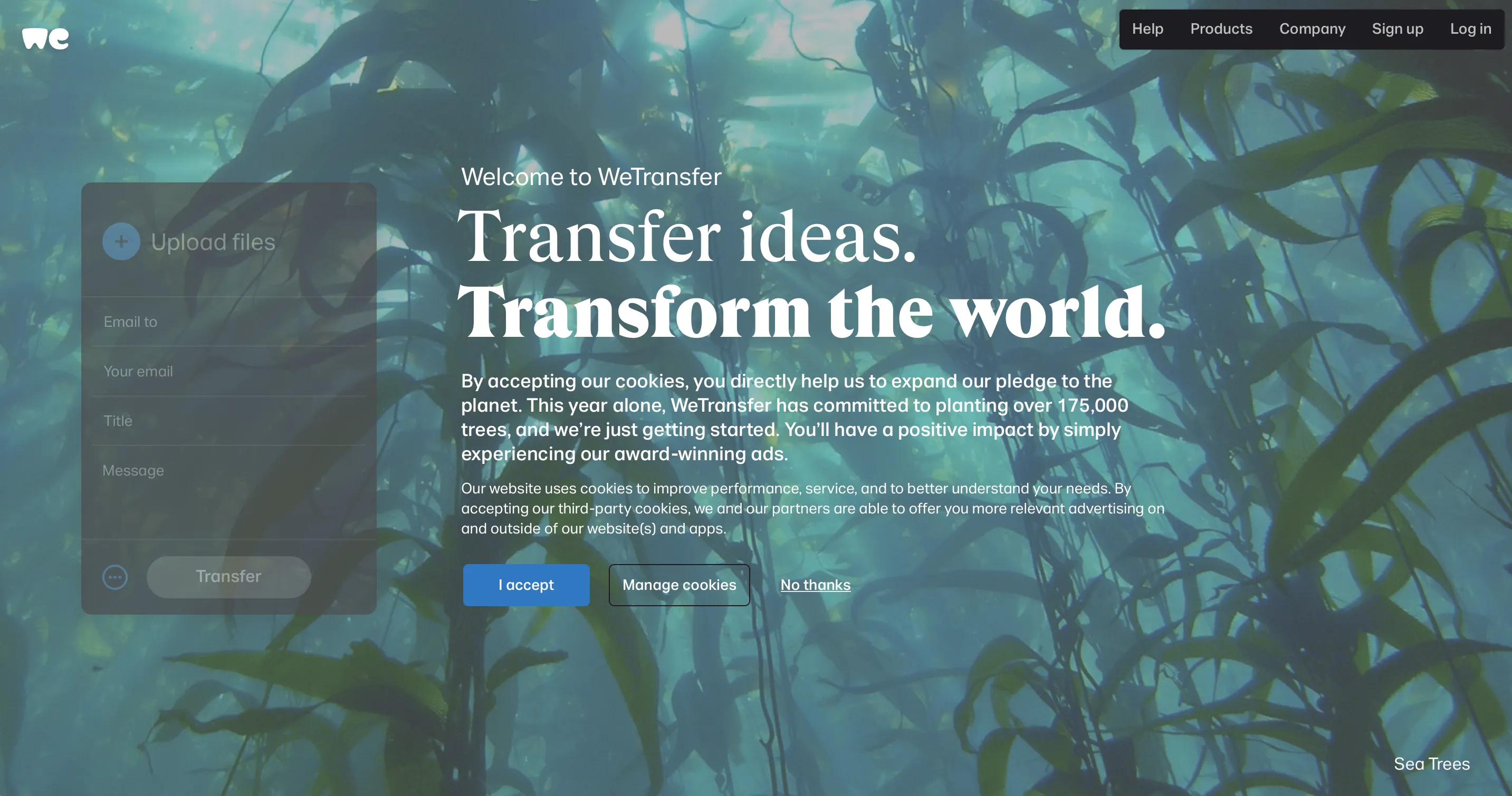 Giao diện WeTransfer quen thuộc, đơn giản để chia sẻ file.