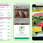 Giao diện WhatsApp hiển thị quảng cáo trong phần Trạng thái (Status) giữa các cập nhật từ bạn bè