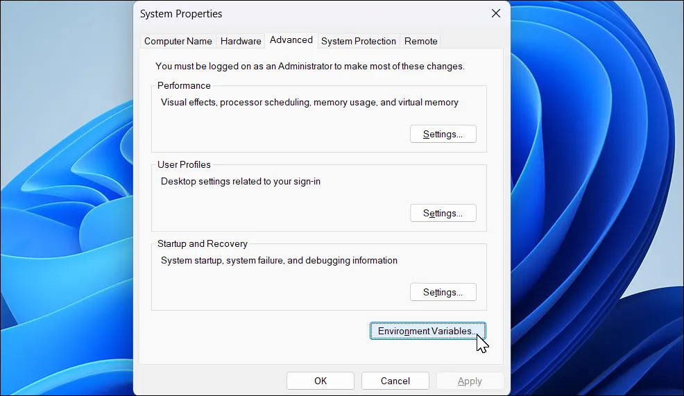Hộp thoại System Properties với tùy chọn Environment Variables được chọn trong Windows 11