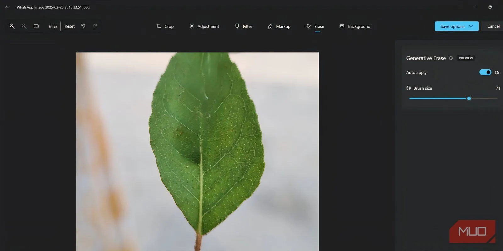 Kết quả xóa côn trùng trên lá bằng Generative Erase trong Photos, cho thấy khu vực xóa còn hơi lởm chởm.