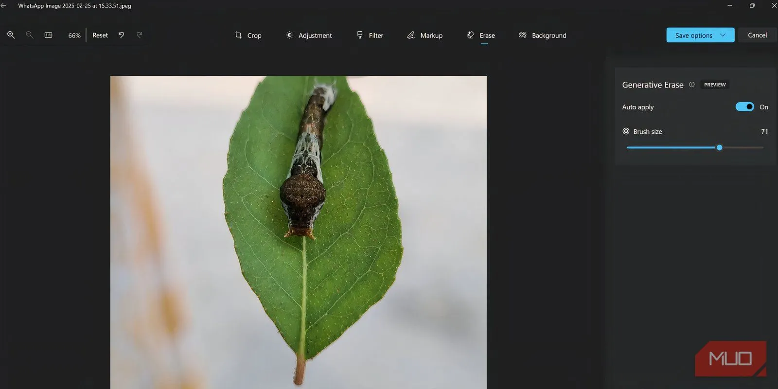 Kiểm tra Generative Erase của Microsoft Photos trên ảnh lá cây có côn trùng, đánh giá khả năng xóa vật thể trong ảnh tự nhiên.