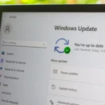 Màn hình cài đặt Windows 11 hiển thị trạng thái cập nhật hệ thống