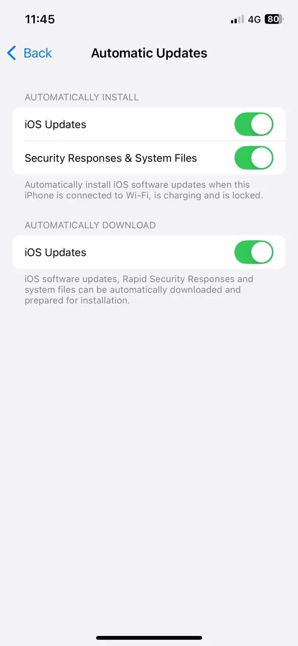 Màn hình Cập nhật phần mềm trên iPhone với tùy chọn Cập nhật tự động