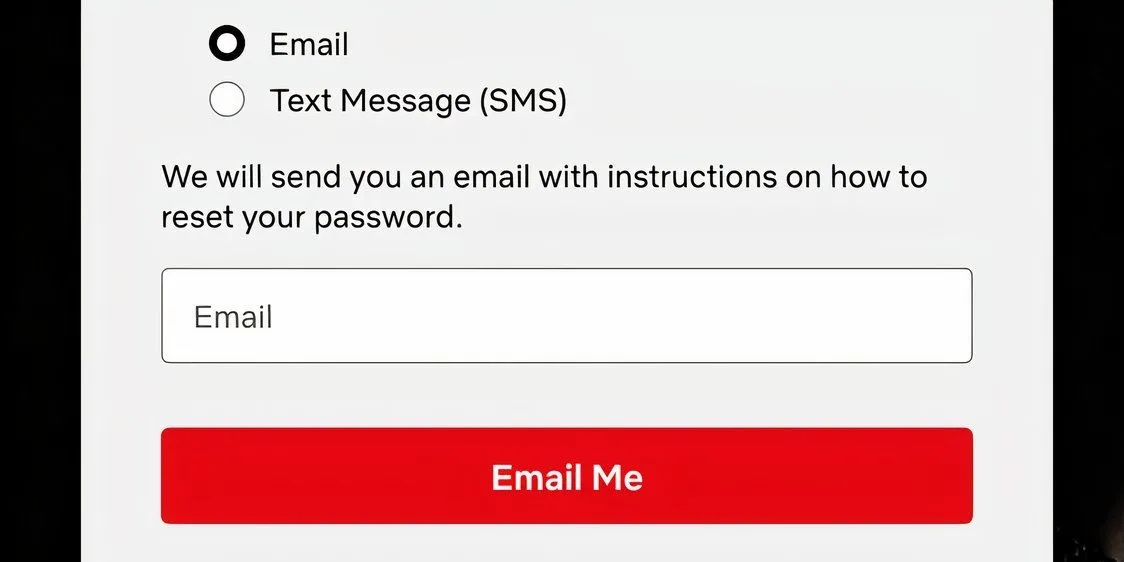 Màn hình Netflix yêu cầu chọn phương thức gửi email để đặt lại mật khẩu tài khoản