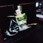 Màn hình OLED đặt trên bàn làm việc, hiển thị nội dung HDR sống động nhưng có nguy cơ lưu ảnh theo thời gian