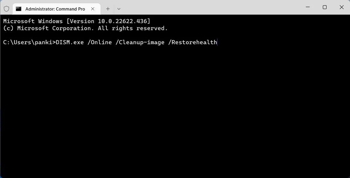 Màn hình Terminal đang chạy lệnh DISM để sửa lỗi hệ thống Windows