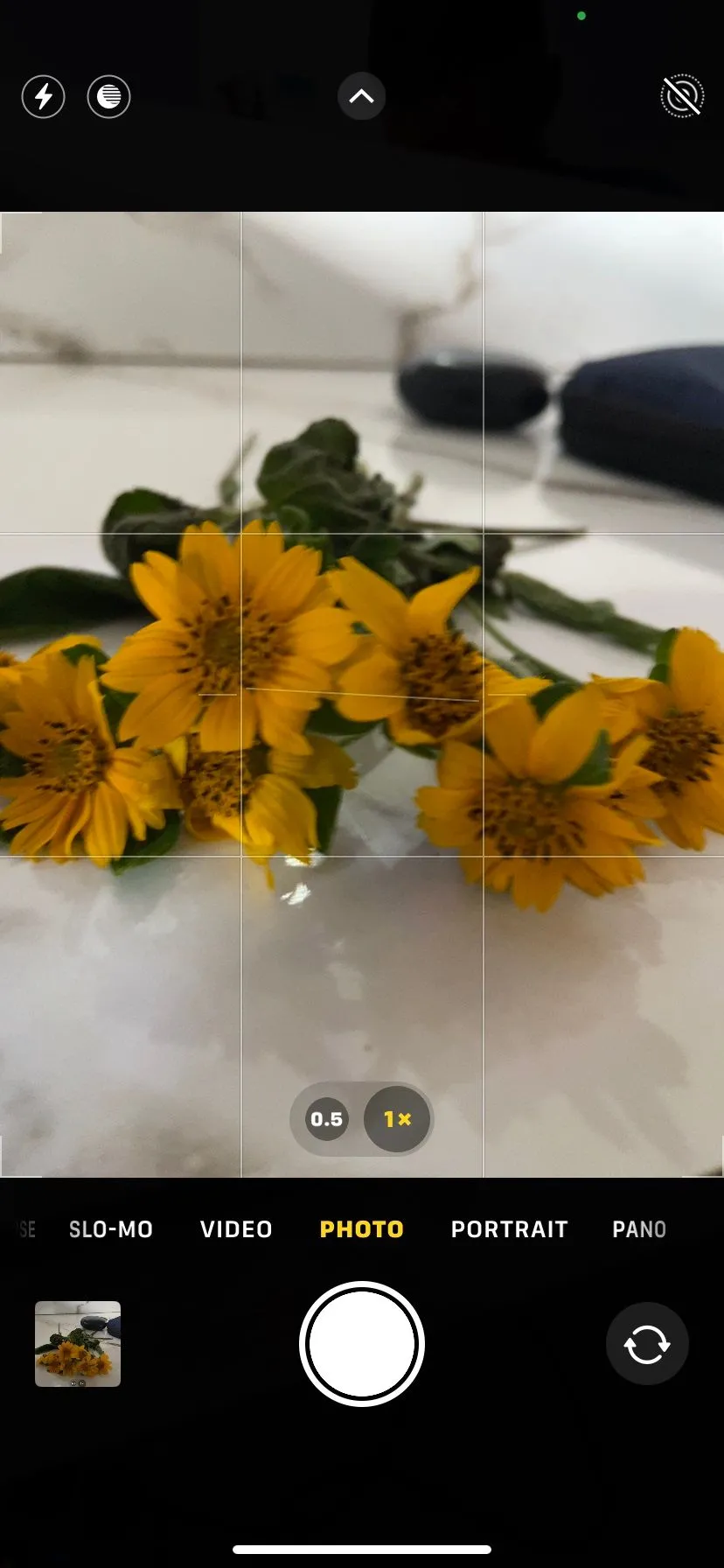 Màn hình ứng dụng camera iPhone với lưới tỷ lệ và đường cân bằng được bật, hỗ trợ bố cục ảnh
