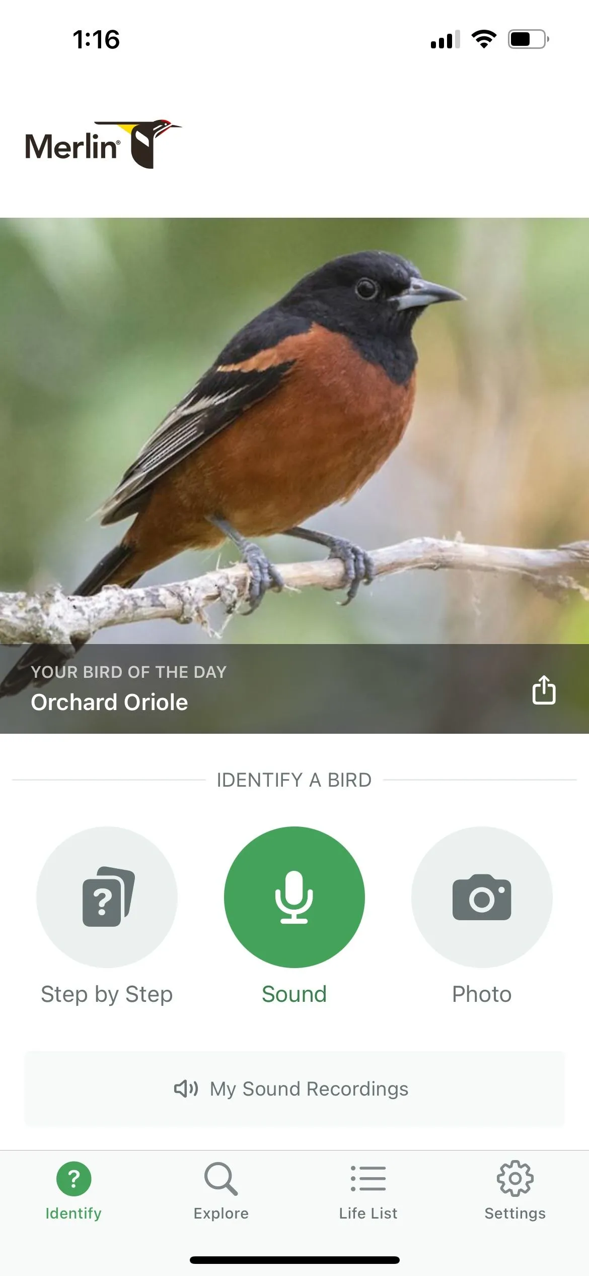 Màn hình ứng dụng Merlin Bird ID đang ghi âm và hiển thị danh sách các loài chim được nhận diện qua âm thanh.