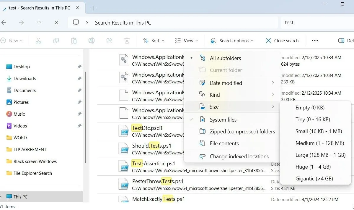 Menu tùy chọn tìm kiếm trong File Explorer trên Windows