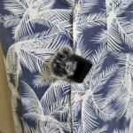 Micro cài áo lavalier được kẹp gọn gàng trên ve áo sơ mi, cho thấy sự kín đáo và hiệu quả thu âm gần nguồn.