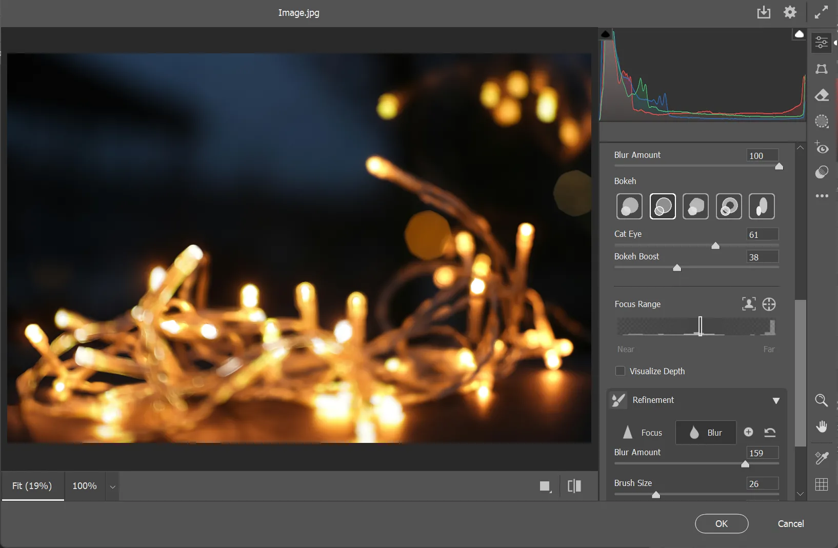 Minh họa các hiệu ứng bokeh nghệ thuật khác nhau (tròn, bong bóng, 5 cánh) được tạo ra bằng Lens Blur của Photoshop.
