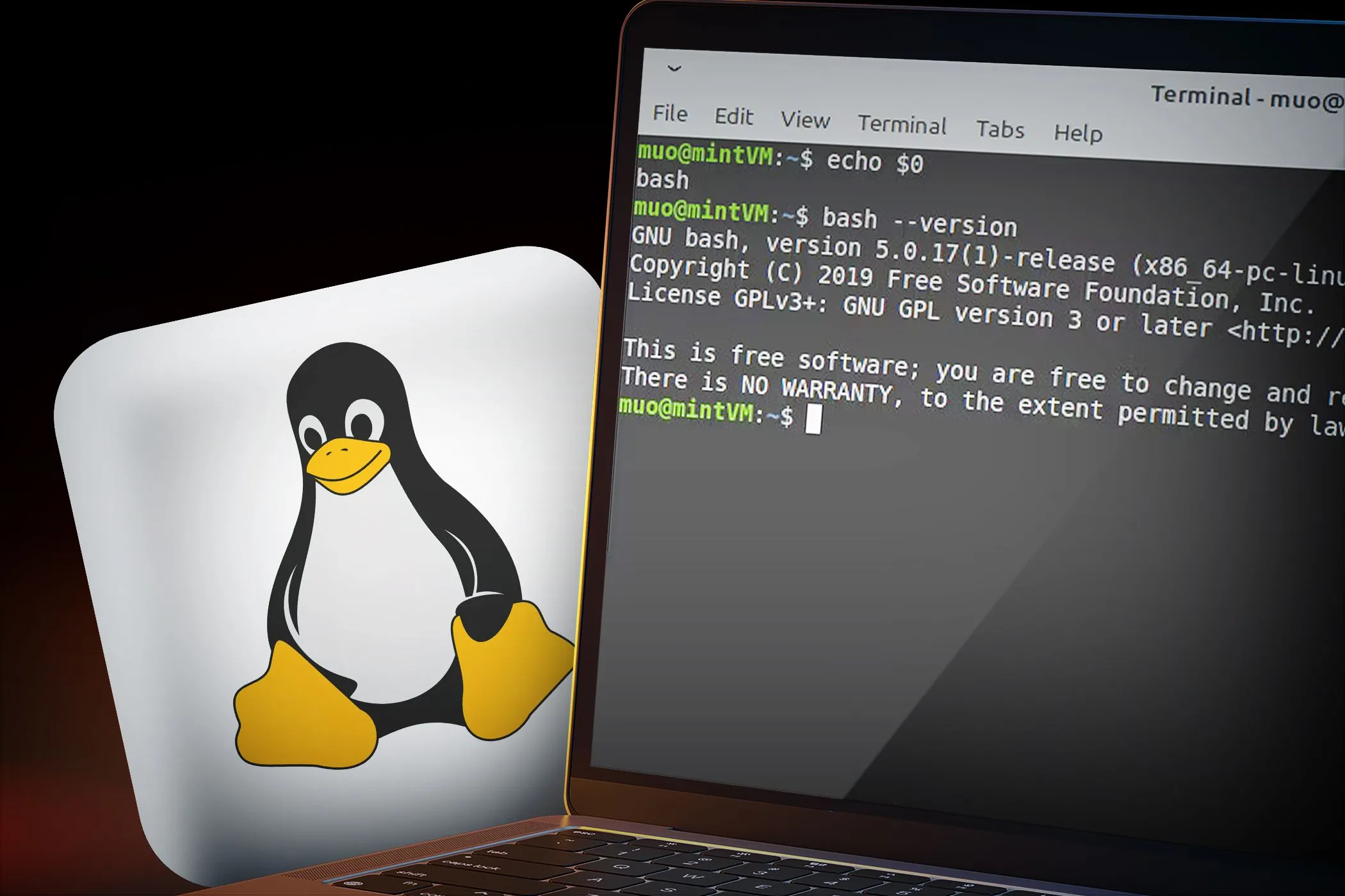 Một máy tính xách tay hiển thị cửa sổ lệnh cmd với các dòng mã khác nhau và logo Linux ở hậu cảnh, tượng trưng cho tính bảo mật của hệ điều hành.