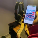 Người dùng đang thao tác trên iPhone khi thiết bị đang được sạc, minh họa việc sử dụng điện thoại lúc sạc không gây hại.