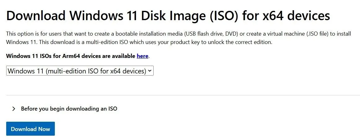 Nút tải file ISO Windows 11 trên trang web Microsoft