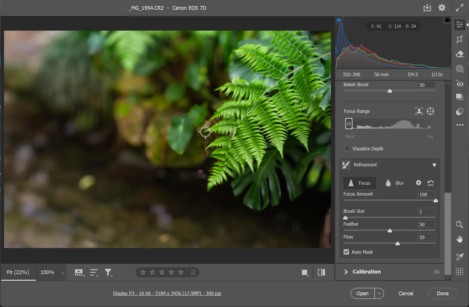 Sử dụng công cụ Refinement brush để tinh chỉnh vùng lấy nét và làm mờ thủ công trong Lens Blur của Photoshop.