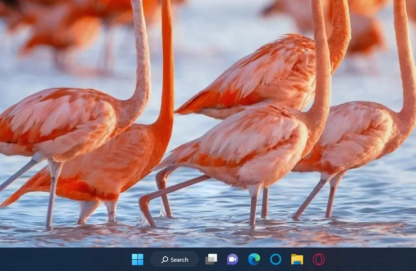 Thanh Taskbar của Windows 11 với các biểu tượng ứng dụng và khu vực hệ thống, tối ưu cho việc đa nhiệm.
