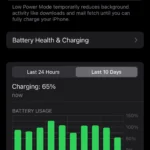 Trang cài đặt Pin iPhone với Chế độ Nguồn điện thấp đang bật