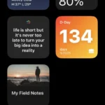 Widget tìm kiếm Google trên màn hình chính iPhone